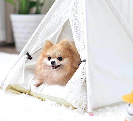 Wooden Pet Tent for Cats and Dogs, Small Doves Design